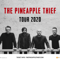 The Pineapple Thief