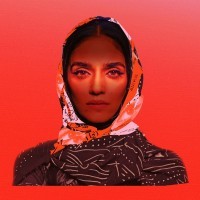 Pop-Kultur / 2021<br><small>u. a. mit Ava Vegas, Liraz, Mandhla, Masha Qrella</small>