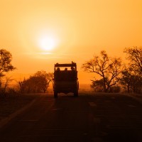 World Insight Live präsentiert: Südliches Afrika