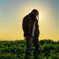 Rexx Life Raj